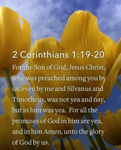 a7780f1a-0c39-418a-94e1-31c62e69f08b