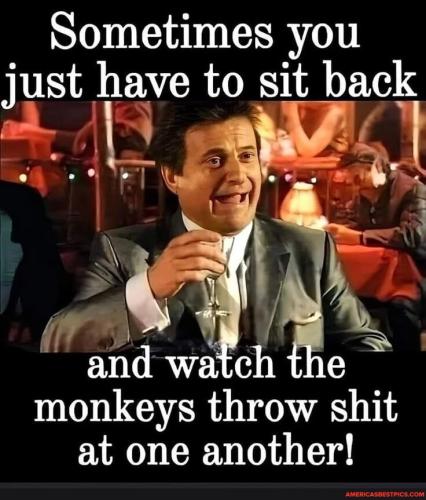 b435cbfe43917e0d489065c0417f87122f9c5ef216299a959a8810f6356fa721_1