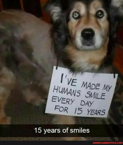 22ff1e66d66ab75b59a6ab1f861216b57c79d68a583c16fa3fb8912faba0202d_1