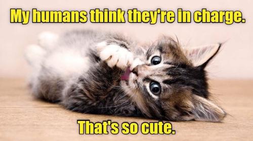 b93b37c0e4108491a8f3caeb2929bc34