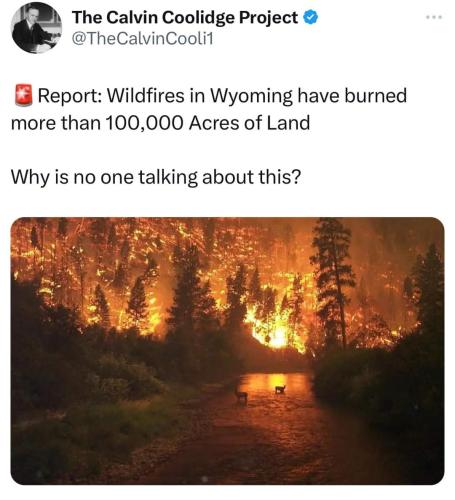 FB_IMG_1728694718512