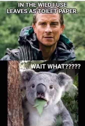 1B8C81BA-1561-4625-8D3F-A513CB4C641B