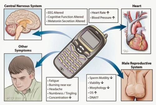 EMF radiation and nervous system