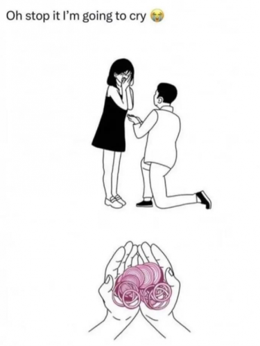 image_C89326D2-FA23-4471-A31F-2DC0E50A0A8B