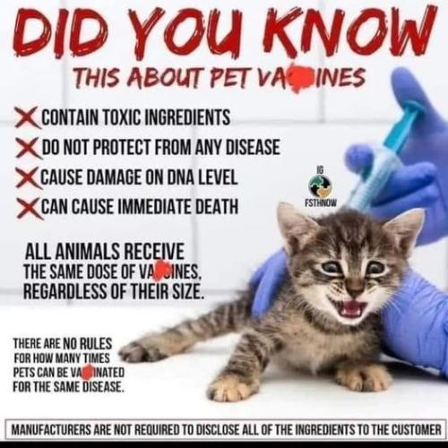 460359796_496436250045886_454905902054634067_n