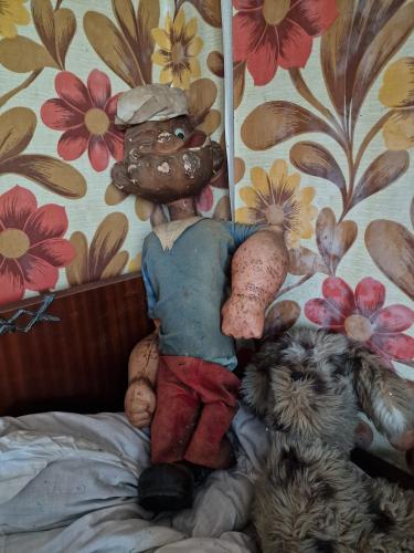 Abandoned House in Northern France 12