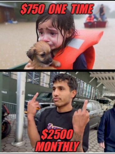 1000006137