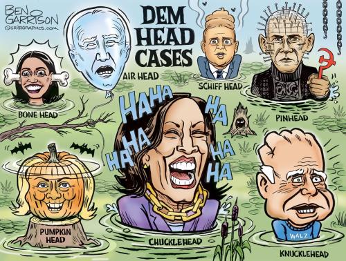 dem_head_cases-1536x1162