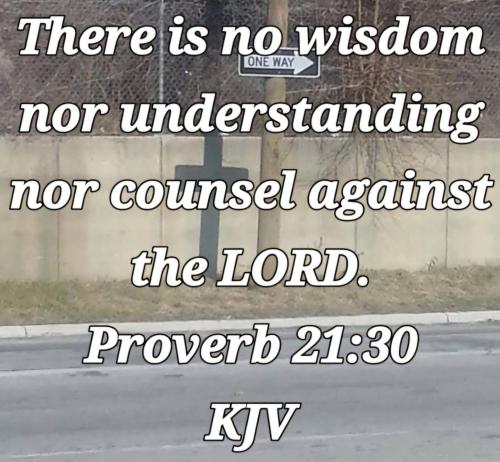 8bbf0428-a36b-472c-ac31-f340a9c93a95