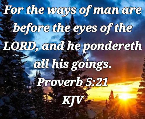 455826cb-0400-4bc2-9b29-c753cbd1e0e1