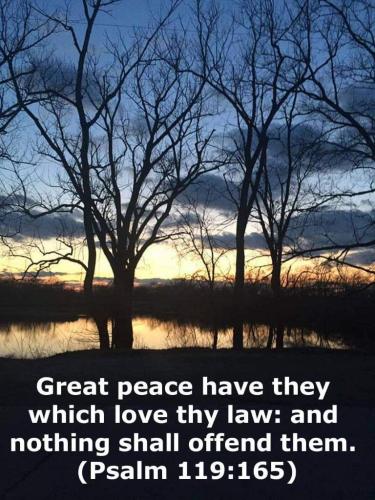 78e15118-52e0-4cfe-8680-8d084bc45f8d