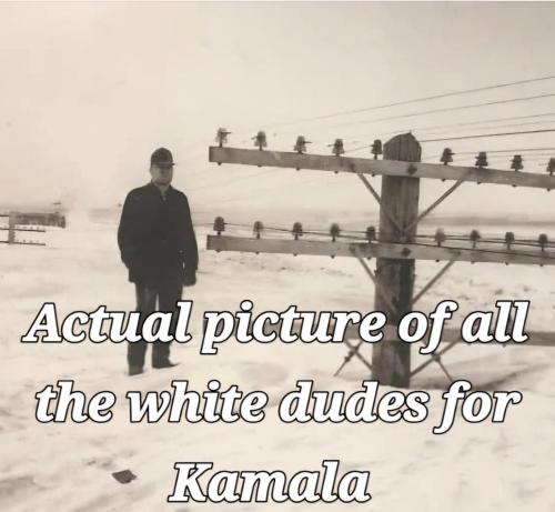 bf13ff3c-620c-4786-b280-55df78d5b2e5