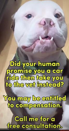 f29f91c4613c7a52023cf468b4f19f902b1564e9deedda6d5db52e3c995b97a0_1