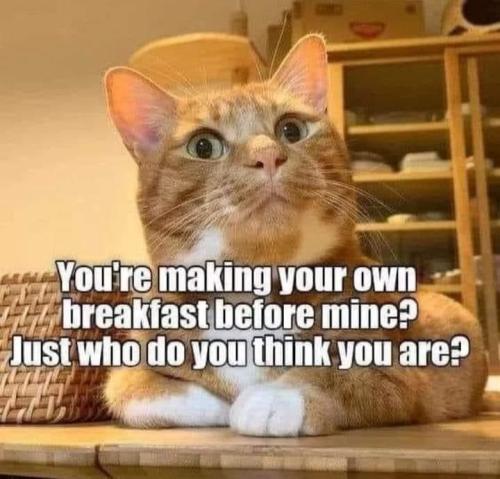 2fa4561c28ca90db020126339f55d7df