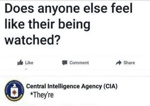 Screenshot_20241023_063748_Facebook