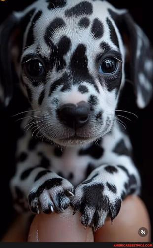 7cb519816f0b30bdbe284ca99c98b2886b068d840cd4863b1d9809b4bebbaa7b_1