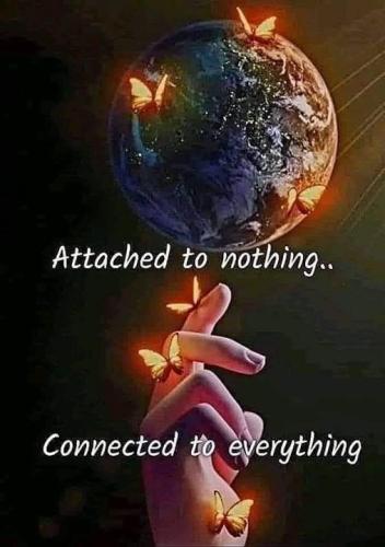 464579393_847293827604767_2113196886154030413_n