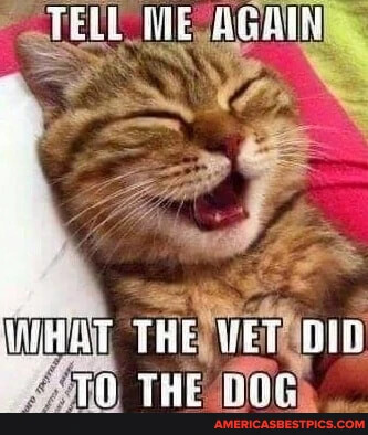 d371441c2b3ef6ae128623bf66d0445d5570157fbeea839d19bd0114ebc179f3_1