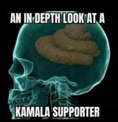 Screenshot_20240927_104050_Wimkin Free Speech Social Media