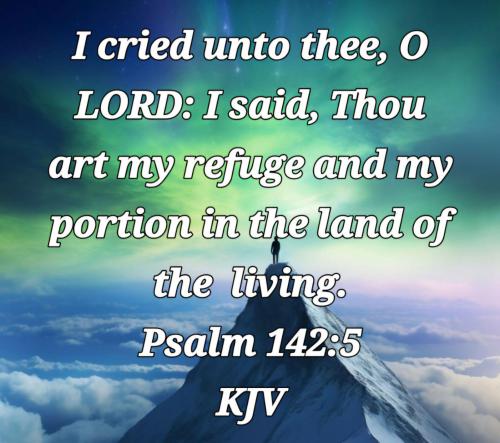 27c22110-8b0f-49db-8ac8-9dd39448496b