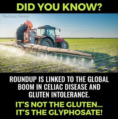 roundup