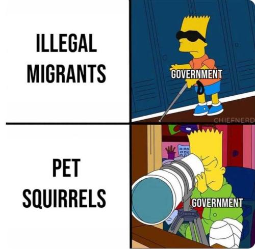 photo_2024-11-03_01-15-37