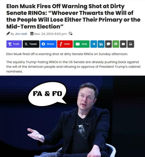 Elon Musk FA and FO.960px