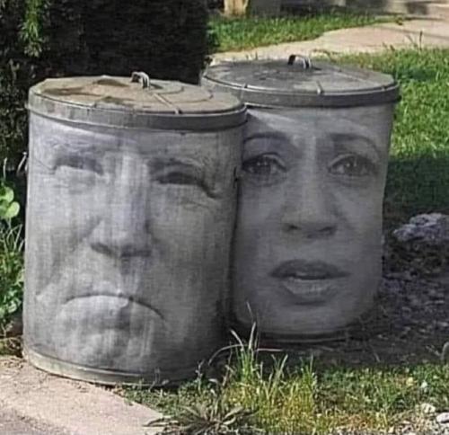 IMG_20241101_105308_014