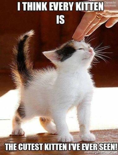 f12e8620ad84e14232a101f3c5ba0652