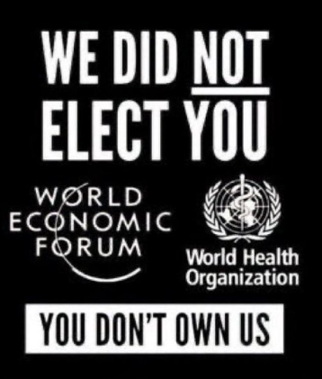 image_2024-11-24_100942642