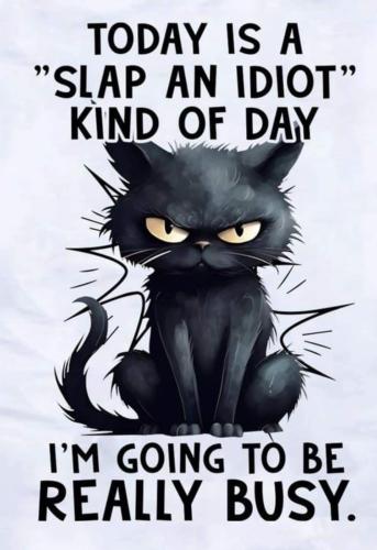 FB_IMG_1730756792999