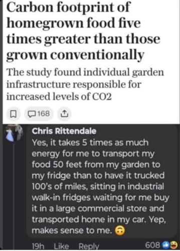 photo_2024-11-17_19-28-25