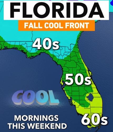 Screenshot_20241112-132622_Wimkin Free Speech Social Media