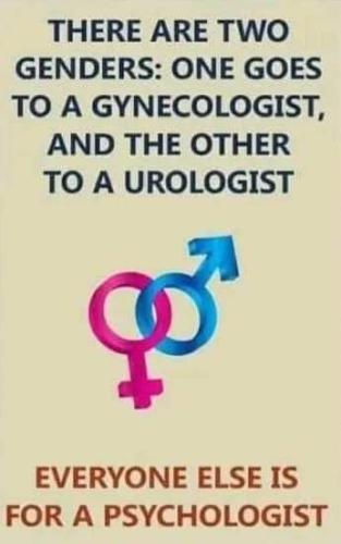 Messenger_creation_5E8046FC-943E-491A-BC0A-529EDAA571DA