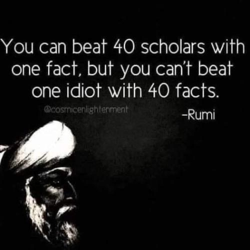 BE28135B-D736-4C9A-BF61-8EAEE42CE7B4