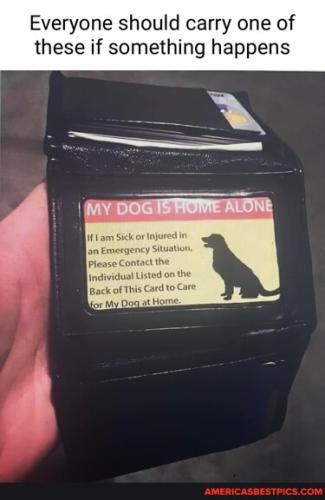 c0d2557b1b389dbe1773b65d5d2a1c7f6cc653d019308a521aea12b56c745147_1