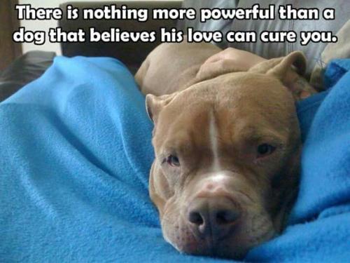 1a8f06caaba697fb4666c66a353881fe