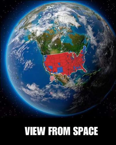 FB_IMG_1731199435520