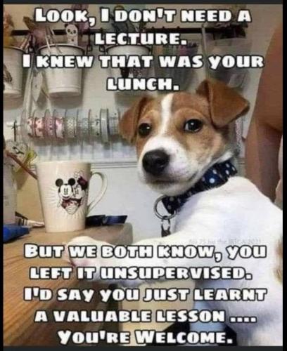 a3c7a808caf034f455f6e30dfd72da6e