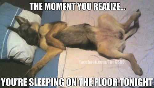 e157cf37d069a535ff0e72e84199d9aa