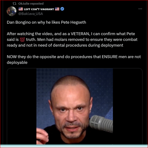 Screenshot 2024-11-20 065217