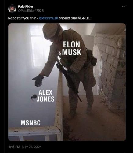 Repost if you think Elon Musk should buy MSNBC.