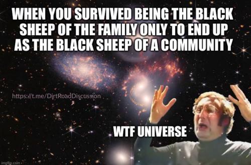 IMG_20241121_023814_630