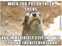 IMG_20241108_054513_128