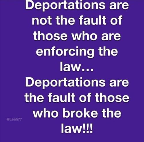 IMG_20241122_000842_531