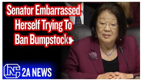 Low IQ Senator screenshot