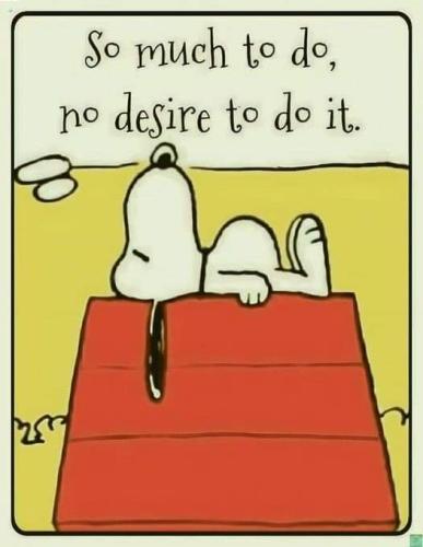 FB_IMG_1731677779525