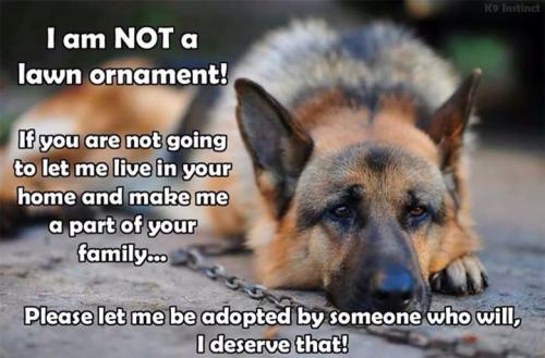 6f36c29bef076fd5722e99c7361cfd99