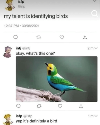 birds-1237-pm-30082021-intj-intj-okay-s-this-one-isfp-isfp-17-yep-s-definitely-bird-2m-v-1m-v