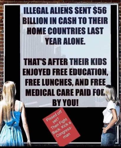 FB_IMG_1731086230048